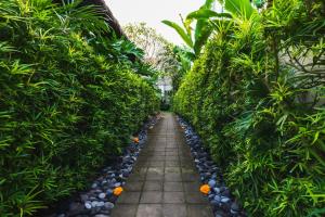 Total Calm, 5 Minutes from Ubud!