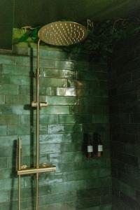 Appartements Insolite aventure exotique : photos des chambres