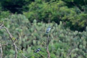 Sea Face Rest Hambantota