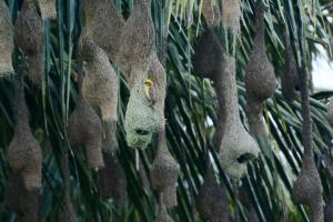 Sea Face Rest Hambantota