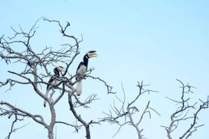Sea Face Rest Hambantota