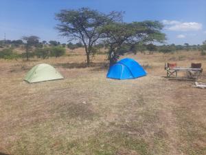 Enkereri Camp Maasai Mara