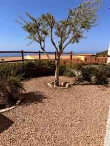 Appartamento il Delfino - Beach House