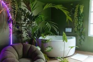 Appartements Insolite aventure exotique : photos des chambres