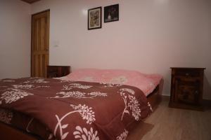 Coral Paradise Homestay