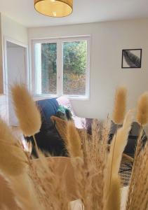 Appartements L-Evasion Chill : photos des chambres