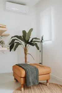 La Paloma Alojamentos - Peniche de Cima