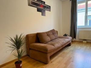 Apartment für 3 beim Westbahnhof