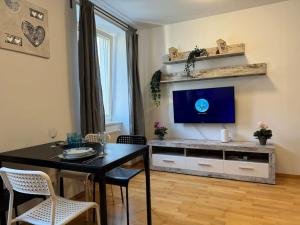 Apartment für 3 beim Westbahnhof