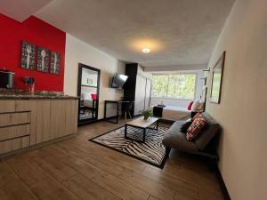 DST3 Complete studio in zone 15