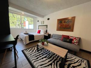 DST3 Complete studio in zone 15