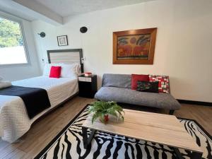 DST3 Complete studio in zone 15