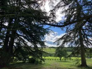 Gîte Les Cèdres - Frontenas