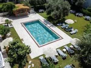 Platanus Hotel Altınoluk - Гюре