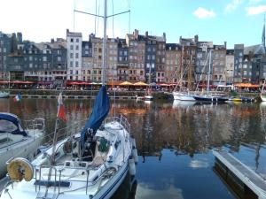 Appartements Honfleur-Terrasse : photos des chambres