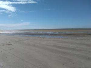 Appartements Honfleur-Terrasse : photos des chambres