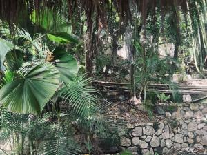 Villa Miramar , Central Vallarta