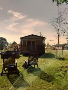 Happy O'Hara - Baflo