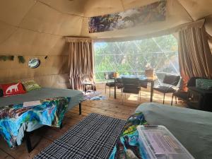 D2 Dino Dome- 2 Dbl Beds - Pet friendly