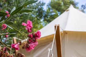 HolaCamp GandĂa