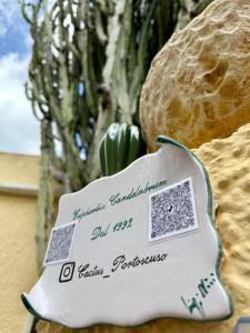 Casa Euphorbia img21