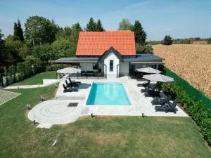 Elephant House - Srednji Kraj