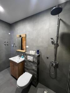 Apartmani Ristanović Užice