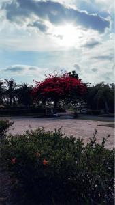 Alojamiento Vacacional completo en Juan Dolio, Guavaberry Resort & Country Club