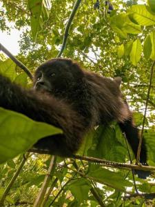 Casa SaQua Residencia Palenque