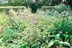 Overnacht met uniek uitzicht op tuin