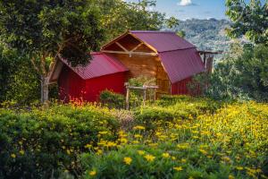 Hotel Cabañas y Glamping Colinas De San Diego