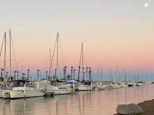 Maisons de vacances Maison a 250 m de la plage ! : photos des chambres