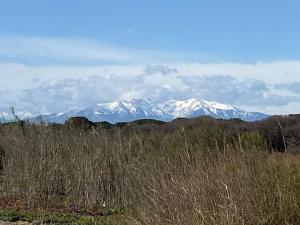 Maisons de vacances Maison a 250 m de la plage ! : photos des chambres