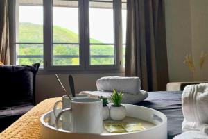 Appartements [Paradis 401] T2 apaisant au coeur de Lourdes : photos des chambres