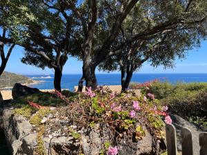 Villa Turchese Villasimius 200mt dal mare