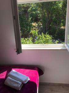 Apartments by the sea Prozurska Luka, Mljet - 617