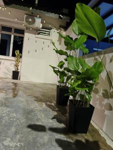 SW Homestay