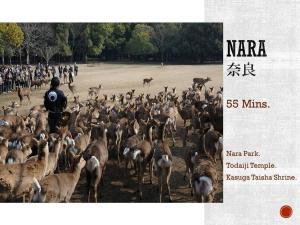 ひふみ苑天満橋801