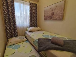 2BR Charming Condo near Session road and Sm Goshenland Towers