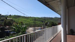Golden Eco Resort