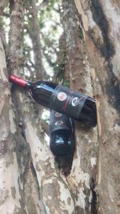 Hotel PARAMO LIDERATO