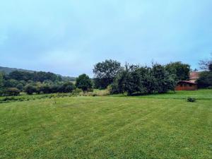 Appartement Cosy avec Jardin et Terrasse – Confort et Charme à la Campagne - FR-1-585-134