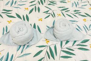 Mactan brentwood condo near airport and mall