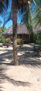 Ravoravo beach house Nosy Be-Atanfondro