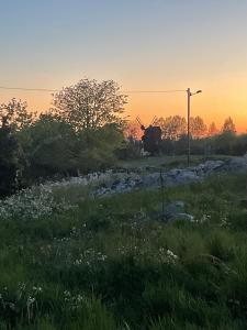 Havsutsikt Kårehamn