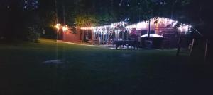 Pirts,kubls,,Saknēs,,