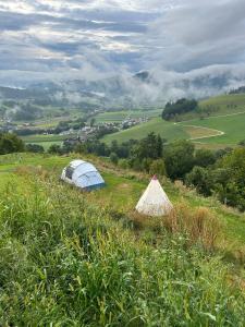 Camping, bring your tent, van or caravan