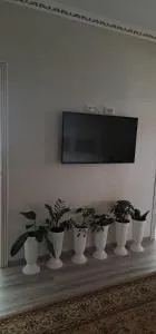 GUEST House B&B Ormon - At-Bashy