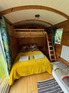 unique sheperds hut private hot tub, ensuite & kitchenette - Clodock