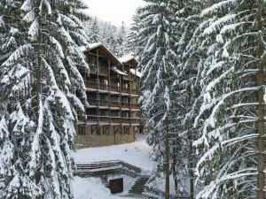 Ana Hotels Bradul Poiana Brasov - 蒂米苏尔德约斯